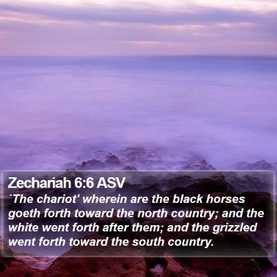 Zechariah 6:6 ASV Bible Verse Image