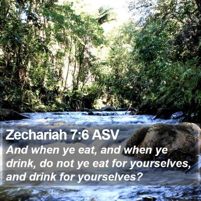 Zechariah 7:6 ASV Bible Verse Image