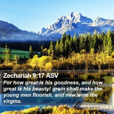 Zechariah 9:17 ASV Bible Verse Image