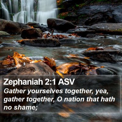 Zephaniah 2:1 ASV Bible Verse Image