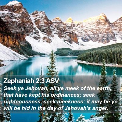 Zephaniah 2:3 ASV Bible Verse Image