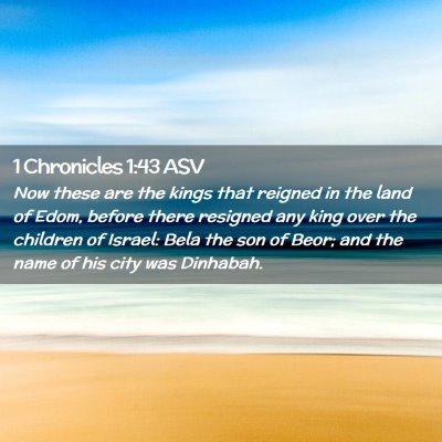 Picture 02 - 1 Chronicles 1:43 ASV - Now these are the kings that reigned in the land - Bible Verse Picture