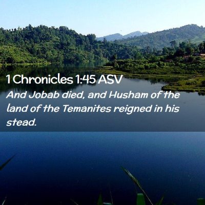Picture 02 - 1 Chronicles 1:45 ASV - And Jobab died, and Husham of the land of the - Bible Verse Picture