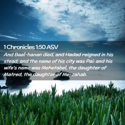 Picture 02 - 1 Chronicles 1:50 ASV - And Baal-hanan died, and Hadad reigned in his - Bible Verse Picture