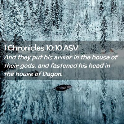 Picture 02 - 1 Chronicles 10:10 ASV - And they put his armor in the house of their - Bible Verse Picture