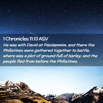 Picture 02 - 1 Chronicles 11:13 ASV - He was with David at Pasdammim, and there the - Bible Verse Picture