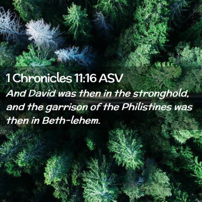 Picture 02 - 1 Chronicles 11:16 ASV - And David was then in the stronghold, and the - Bible Verse Picture