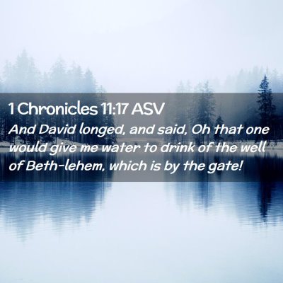 Picture 02 - 1 Chronicles 11:17 ASV - And David longed, and said, Oh that one would - Bible Verse Picture