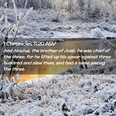 Picture 02 - 1 Chronicles 11:20 ASV - And Abishai, the brother of Joab, he was chief of - Bible Verse Picture