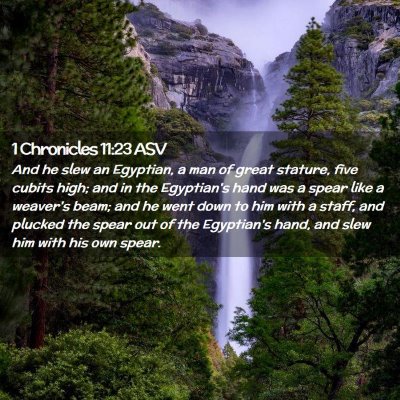 Picture 02 - 1 Chronicles 11:23 ASV - And he slew an Egyptian, a man of great stature, - Bible Verse Picture