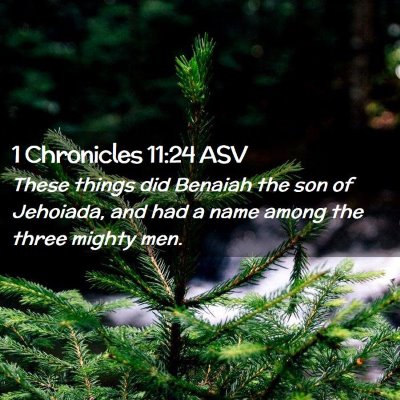 Picture 02 - 1 Chronicles 11:24 ASV - These things did Benaiah the son of Jehoiada, and - Bible Verse Picture
