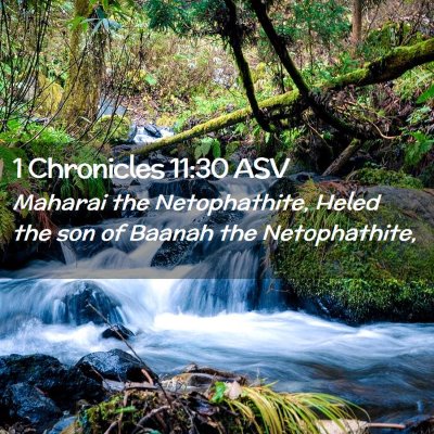 Picture 02 - 1 Chronicles 11:30 ASV - Maharai the Netophathite, Heled the son of Baanah - Bible Verse Picture