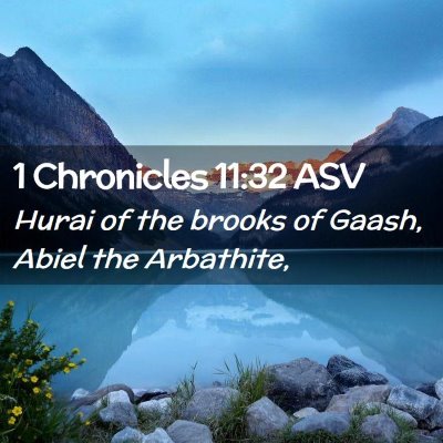 Picture 02 - 1 Chronicles 11:32 ASV - Hurai of the brooks of Gaash, Abiel the - Bible Verse Picture