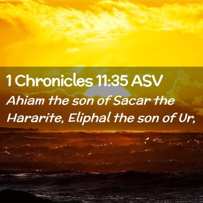Picture 02 - 1 Chronicles 11:35 ASV - Ahiam the son of Sacar the Hararite, Eliphal the - Bible Verse Picture
