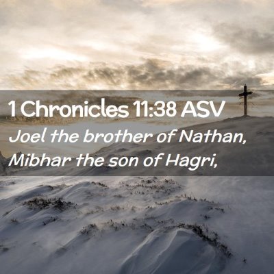 Picture 02 - 1 Chronicles 11:38 ASV - Joel the brother of Nathan, Mibhar the son of - Bible Verse Picture