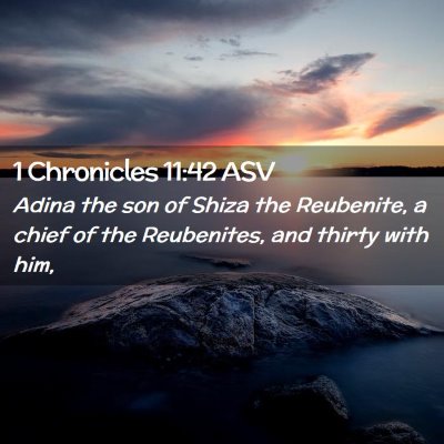 Picture 02 - 1 Chronicles 11:42 ASV - Adina the son of Shiza the Reubenite, a chief of - Bible Verse Picture
