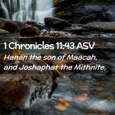 Picture 02 - 1 Chronicles 11:43 ASV - Hanan the son of Maacah, and Joshaphat the - Bible Verse Picture