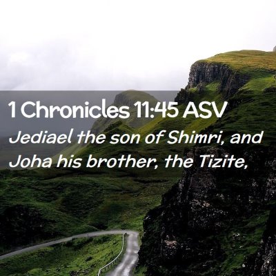 Picture 02 - 1 Chronicles 11:45 ASV - Jediael the son of Shimri, and Joha his brother, - Bible Verse Picture