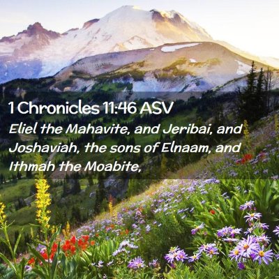 Picture 02 - 1 Chronicles 11:46 ASV - Eliel the Mahavite, and Jeribai, and Joshaviah, - Bible Verse Picture