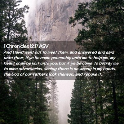 Picture 02 - 1 Chronicles 12:17 ASV - And David went out to meet them, and answered and - Bible Verse Picture