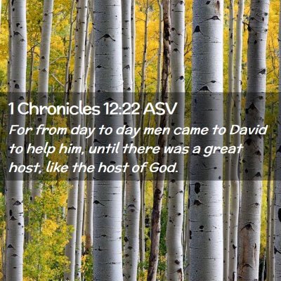Picture 02 - 1 Chronicles 12:22 ASV - For from day to day men came to David to help - Bible Verse Picture