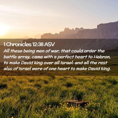 Picture 02 - 1 Chronicles 12:38 ASV - All these being men of war, that could order the - Bible Verse Picture