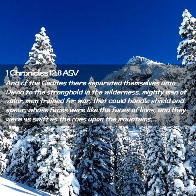 Picture 02 - 1 Chronicles 12:8 ASV - And of the Gadites there separated themselves - Bible Verse Picture