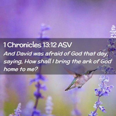 Picture 02 - 1 Chronicles 13:12 ASV - And David was afraid of God that day, saying, How - Bible Verse Picture