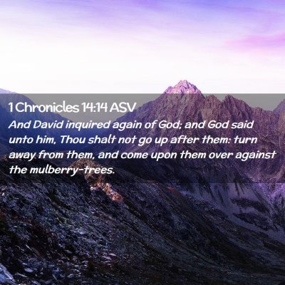 Picture 02 - 1 Chronicles 14:14 ASV - And David inquired again of God; and God said - Bible Verse Picture