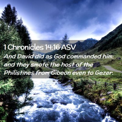 Picture 02 - 1 Chronicles 14:16 ASV - And David did as God commanded him: and they - Bible Verse Picture