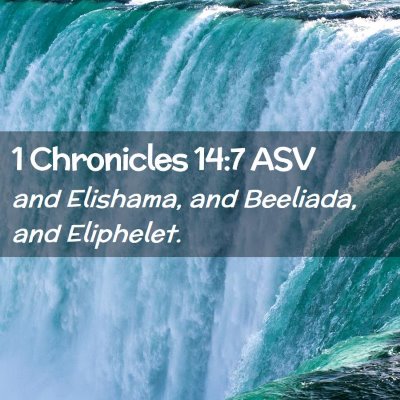 Picture 02 - 1 Chronicles 14:7 ASV - and Elishama, and Beeliada, and - Bible Verse Picture