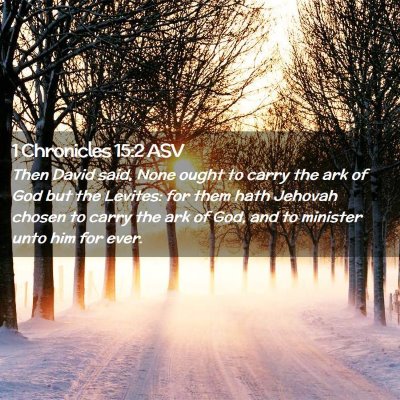 Picture 02 - 1 Chronicles 15:2 ASV - Then David said, None ought to carry the ark of - Bible Verse Picture