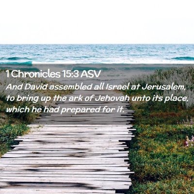 Picture 02 - 1 Chronicles 15:3 ASV - And David assembled all Israel at Jerusalem, to - Bible Verse Picture
