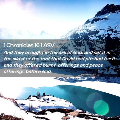 Picture 02 - 1 Chronicles 16:1 ASV - And they brought in the ark of God, and set it in - Bible Verse Picture