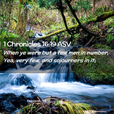 Picture 02 - 1 Chronicles 16:19 ASV - When ye were but a few men in number, Yea, very - Bible Verse Picture