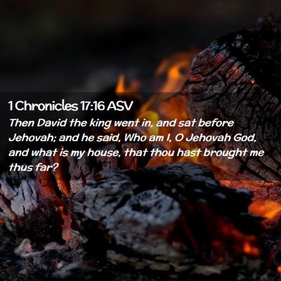 Picture 02 - 1 Chronicles 17:16 ASV - Then David the king went in, and sat before - Bible Verse Picture