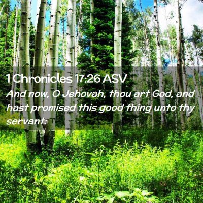 Picture 02 - 1 Chronicles 17:26 ASV - And now, O Jehovah, thou art God, and hast - Bible Verse Picture