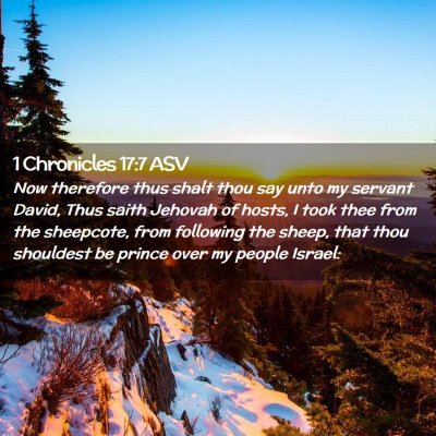 Picture 02 - 1 Chronicles 17:7 ASV - Now therefore thus shalt thou say unto my servant - Bible Verse Picture