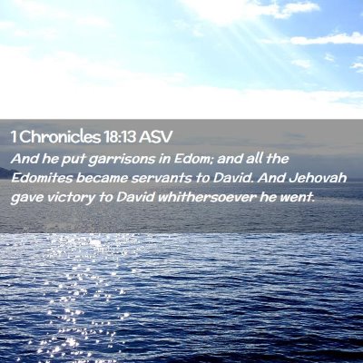 Picture 02 - 1 Chronicles 18:13 ASV - And he put garrisons in Edom; and all the - Bible Verse Picture