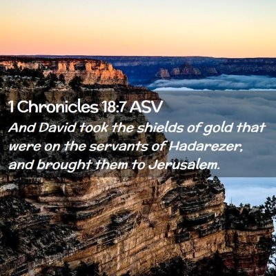 Picture 02 - 1 Chronicles 18:7 ASV - And David took the shields of gold that were on - Bible Verse Picture