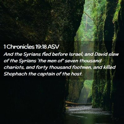 Picture 02 - 1 Chronicles 19:18 ASV - And the Syrians fled before Israel; and David - Bible Verse Picture