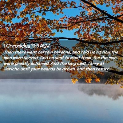 Picture 02 - 1 Chronicles 19:5 ASV - Then there went certain persons, and told David - Bible Verse Picture