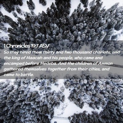 Picture 02 - 1 Chronicles 19:7 ASV - So they hired them thirty and two thousand - Bible Verse Picture