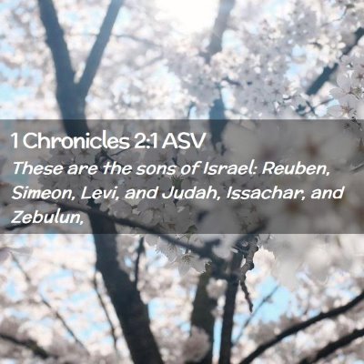 Picture 02 - 1 Chronicles 2:1 ASV - These are the sons of Israel: Reuben, Simeon, - Bible Verse Picture