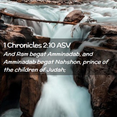 Picture 02 - 1 Chronicles 2:10 ASV - And Ram begat Amminadab, and Amminadab begat - Bible Verse Picture