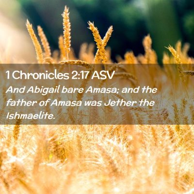 Picture 02 - 1 Chronicles 2:17 ASV - And Abigail bare Amasa; and the father of Amasa - Bible Verse Picture