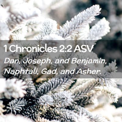 Picture 02 - 1 Chronicles 2:2 ASV - Dan, Joseph, and Benjamin, Naphtali, Gad, and - Bible Verse Picture