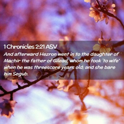 Picture 02 - 1 Chronicles 2:21 ASV - And afterward Hezron went in to the daughter of - Bible Verse Picture