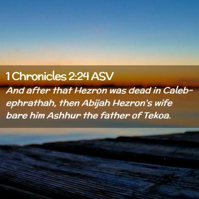 Picture 02 - 1 Chronicles 2:24 ASV - And after that Hezron was dead in - Bible Verse Picture