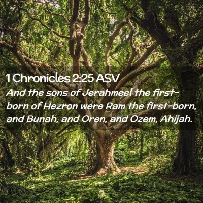 Picture 02 - 1 Chronicles 2:25 ASV - And the sons of Jerahmeel the first-born of - Bible Verse Picture